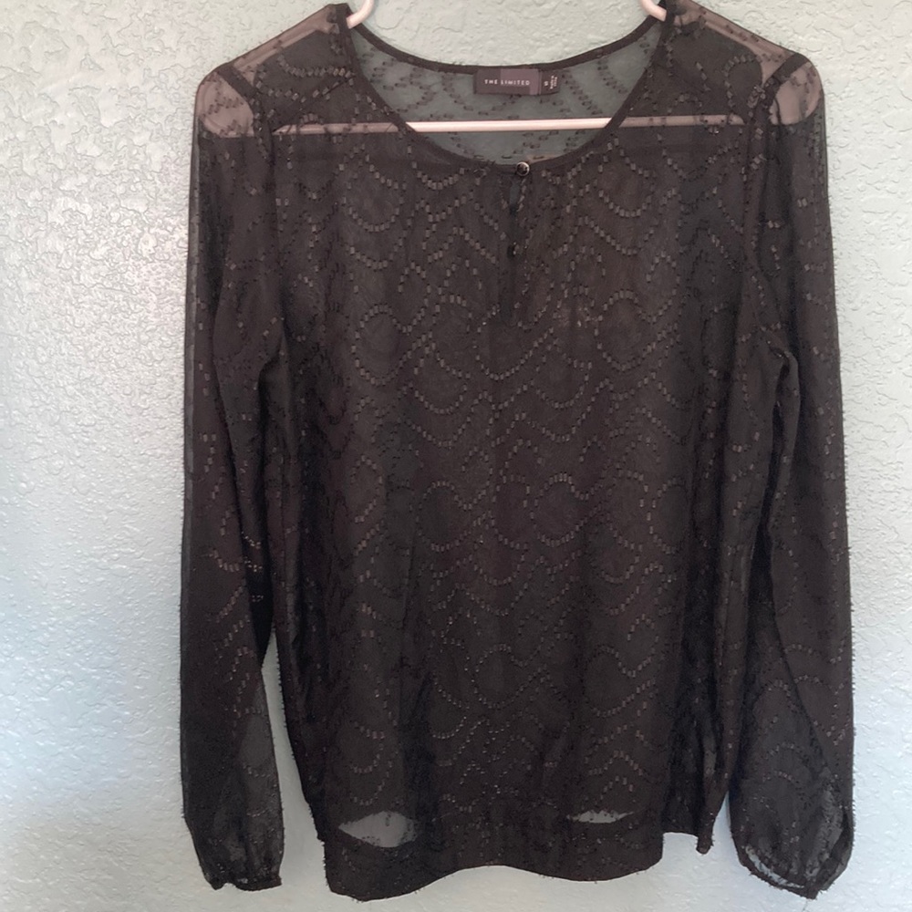 The Limited Sheer Blouse Size S